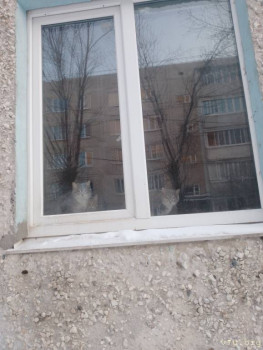 Наши любимые домашние питомцы - IMG_20250221_160459_960.jpg