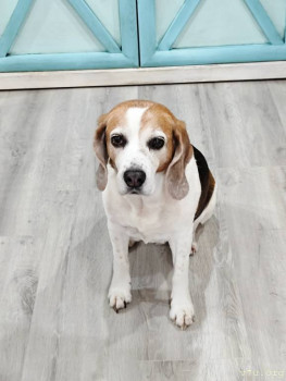 Не хотела фотографироваться