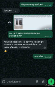 Наши любимые домашние питомцы - Screenshot_2025-03-05-20-16-25-554_com.whatsapp-edit.jpg