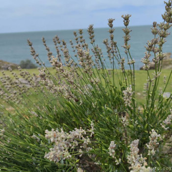 2 2 - IMG_20240710_121813.jpg