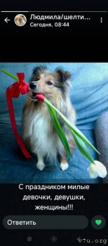 Наши любимые домашние питомцы - Screenshot_2025-03-08-09-57-45-728_com.whatsapp.jpg