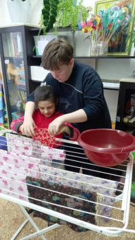 Рубина - 9 лет., Вологодская обл. - image.jpg