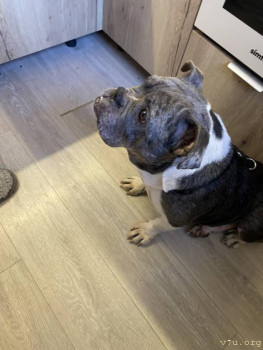 Хьюстон, у нас проблемы, или еда и поведение. - IMG_2952.jpeg