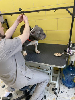 Хьюстон, у нас проблемы, или еда и поведение. - IMG_2935.jpeg