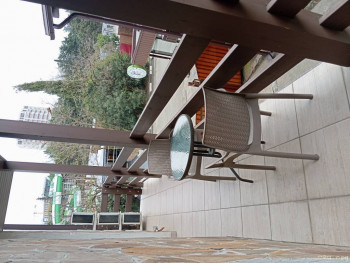 Розовые пони - IMG_20250326_131540.jpg