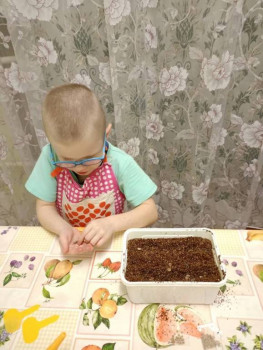 Савушка - 7 лет, Вологодская обл. - image.jpg