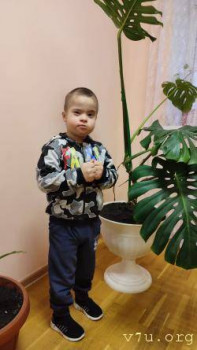 Солнышки, не лишние... - 9mydb-elhc.jpg