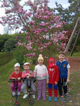 Розовые пони - IMG_20250407_201405.jpg