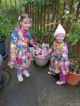 Розовые пони - IMG_20250410_143335.jpg