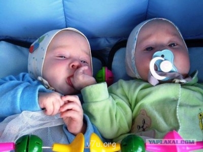 Хочу взять под опеку близнецов - 4772141.jpg