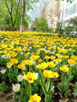 Мечты сбываются. Продолжение следует. - IMG-20250424-WA0035.jpg