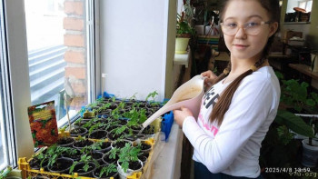 Три сестры - Натасья, Натали и Софья - image.jpg