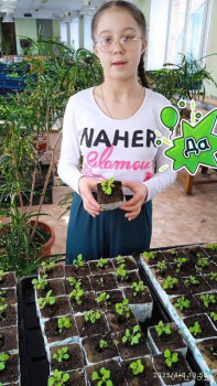 Три сестры - Натасья, Натали и Софья - image.jpg