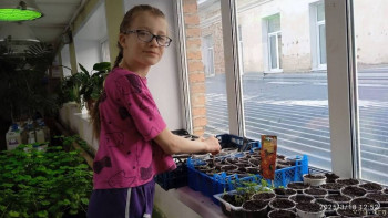 Три сестры - Натасья, Натали и Софья - image.jpg