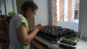 Три сестры - Натасья, Натали и Софья - image.jpg