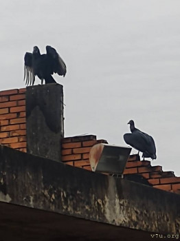 Все будет хорошо  - IMG_20250428_073158716.jpg