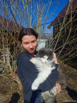 Даша, Дима и Виталик - Челябинская обл. - image.jpg