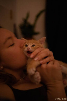 Наши любимые домашние питомцы - IMG_20250513_203622_494.jpg