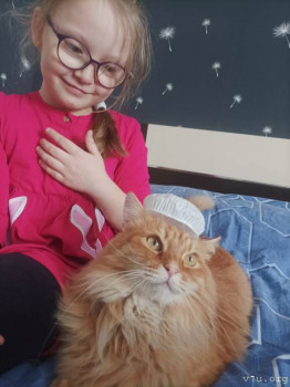 Наши любимые домашние питомцы - IMG_20250302_133614.jpg