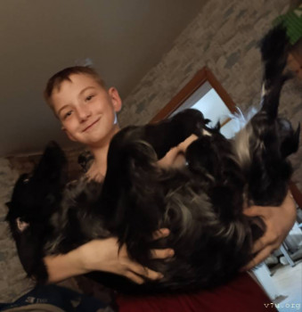 Наши любимые домашние питомцы - IMG_20250514_213547.jpg