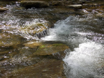 : - об отдыхе на море ;  - IMG-20250526-WA0061.jpg