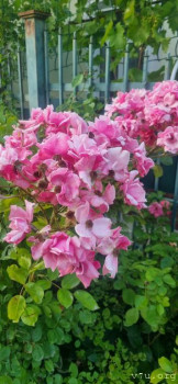 : - об отдыхе на море ;  - 20250629_195603.jpg