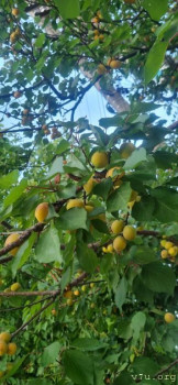 : - об отдыхе на море ;  - 20250629_200802.jpg