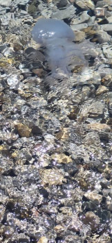 : - об отдыхе на море ;  - 20250710_120508.jpg