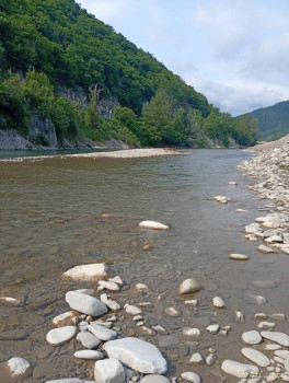 : - об отдыхе на море ;  - IMG_20250605_153742.jpg