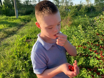 Выбывшие - image.jpg