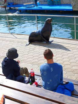 : - об отдыхе на море ;  - 3VeD-ngajLipDxefdMeLZebZCN1CRC9Epu3hj_S6X4_ac3jeyUdKAceWTfkY_-0DLwIhJzrdHSXxXja9Ap6l-uKp.jpg