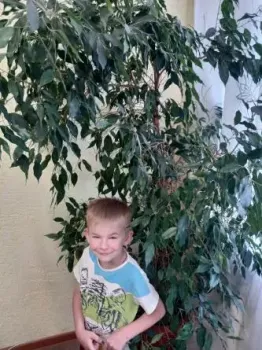 Дети в возрасте от 6 до 10 лет - 8wshx-sgjk.webp