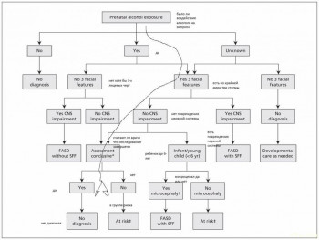 СДВГ - F1.large.jpg