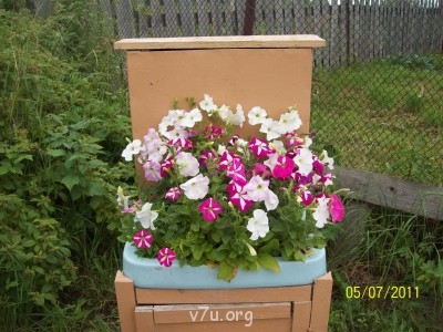 Это моё...Умывальник старый,а выбросить жалко...