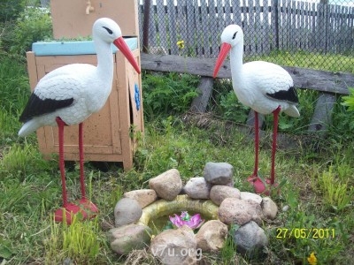 Это у нас новые жители...