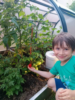 Артёмка - 6 лет, Архангельская обл. - image.jpg