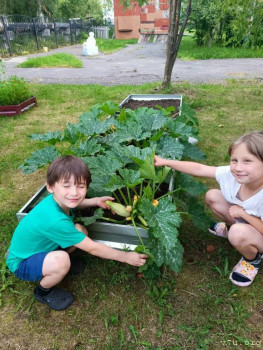 Артёмка - 6 лет, Архангельская обл. - image.jpg
