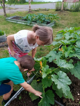 Артёмка - 6 лет, Архангельская обл. - image.jpg