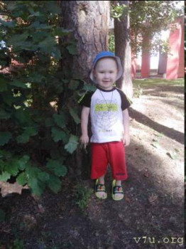 Жизнь в тишине - изображение.jpg