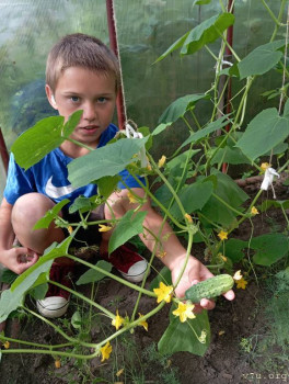 Малыши из Томска - Петлин_С_с_огурцом_лето_2024 (1).jpg