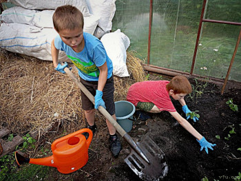 Малыши из Томска - Вместе_Петлин_С_Варфоломеев_Д_в_теплице_лето_2024.jpg