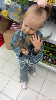 Все будет хорошо  - 2016629162903.jpg