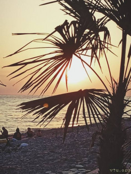 : - об отдыхе на море ;  - IMG_20250819_190436.jpg