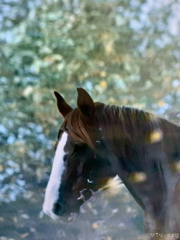 Фильмы - A55903DA-592A-46D1-AAF3-9557C4F804D5.jpeg