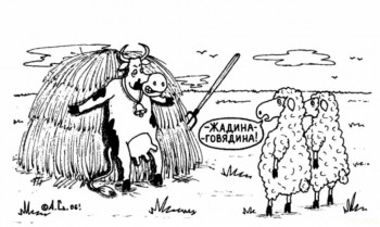 Юмор - IMG_20250824_082438_286.jpg