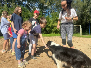 Слава, Милана и Алина - Ивановская обл. - image.jpg