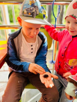 Лёнька - 6 лет, Санкт-Петербург - image.jpg