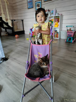 2 2 - IMG_20250807_093842.jpg