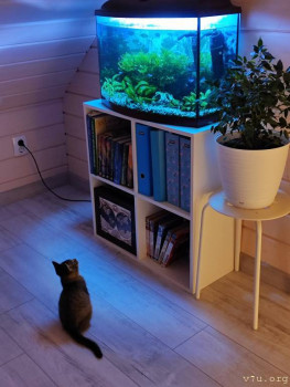 Телевизор смотрит