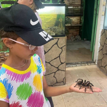 Юля - 8 лет, Санкт-Петербург - image.jpg